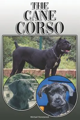 Cane Corso: A Complete and Comprehensive Owners Guide To: A Complete and Comprehensive Owners Guide To: Kúpa, vlastníctvo, zdravie, starostlivosť, výcvik, poslušnosť, porozumenie a - The Cane Corso: A Complete and Comprehensive Owners Guide To: Buying, Owning, Health, Grooming, Training, Obedience, Understanding and