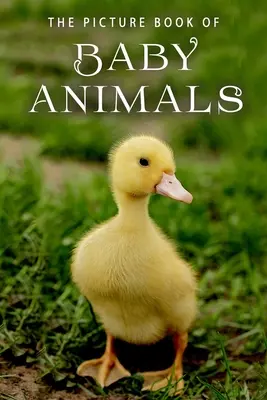 Obrázková kniha o mláďatách zvierat: Darčeková kniha pre pacientov s Alzheimerovou chorobou a seniorov s demenciou - The Picture Book of Baby Animals: A Gift Book for Alzheimer's Patients and Seniors with Dementia