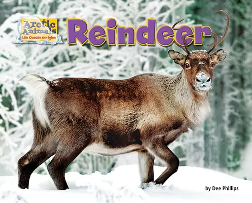Sobi - Reindeer