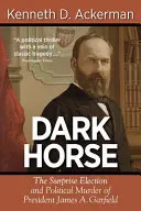 Temný kôň: prekvapivé voľby a politická vražda prezidenta Jamesa A. Garfielda - Dark Horse: the Surprise Election and Political Murder of President James A. Garfield
