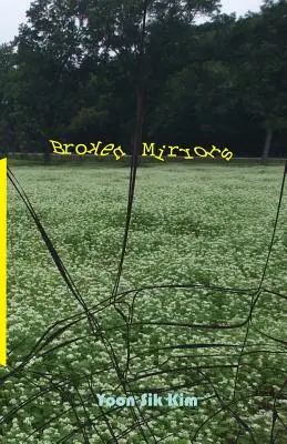 Rozbité zrkadlá - Broken Mirrors