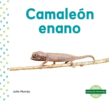 Camalen Enano (Chameleón listový) - Camalen Enano (Leaf Chameleon)