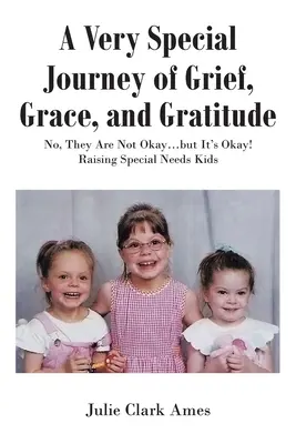 Veľmi zvláštna cesta smútku, milosti a vďačnosti: Nie, nie sú v poriadku... ale je to v poriadku! Výchova detí so špeciálnymi potrebami - A Very Special Journey of Grief, Grace, and Gratitude: No, They Are Not Okay...but It's Okay! Raising Special Needs Kids