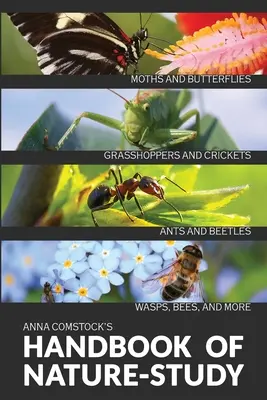 Farebná príručka o prírode - Hmyz - The Handbook Of Nature Study in Color - Insects