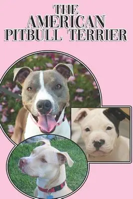 Americký pitbull teriér: Vydanie: Úplná a komplexná príručka pre začiatočníkov: Kúpa, vlastníctvo, zdravie, starostlivosť, výcvik, poslušnosť, porozumenie - The American Pitbull Terrier: A Complete and Comprehensive Beginners Guide To: Buying, Owning, Health, Grooming, Training, Obedience, Understanding