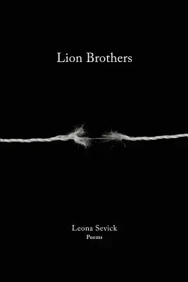 Bratia levi - Lion Brothers