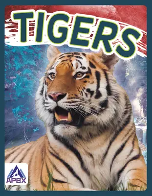 Tigre - Tigers