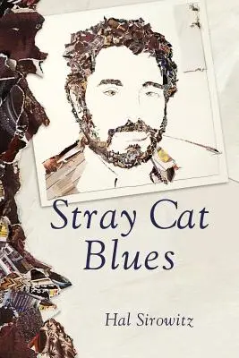 Blues túlavých mačiek - Stray Cat Blues