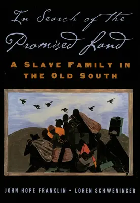 Pri hľadaní zasľúbenej zeme: Rodina otrokov na starom Juhu - In Search of the Promised Land: A Slave Family in the Old South
