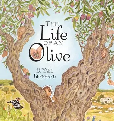 Život olivy - The Life of an Olive