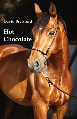 Horúca čokoláda - Hot Chocolate