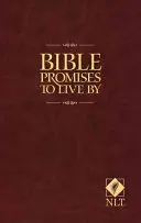 Biblické prísľuby, podľa ktorých sa dá žiť - Bible Promises to Live by