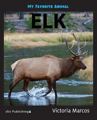 Moje obľúbené zviera: Los - My Favorite Animal: Elk