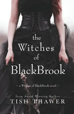 Čarodejnice z BlackBrooku - The Witches of BlackBrook