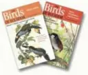 Vtáky Ekvádoru: Dvojdielny súbor - The Birds of Ecuador: Two-Volume Set