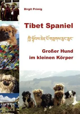 Tibetský španiel: Groer Hund im kleinen Krper - Tibet Spaniel: Groer Hund im kleinen Krper