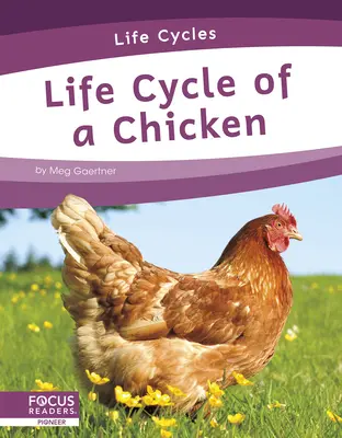 Životný cyklus kurčaťa - Life Cycle of a Chicken