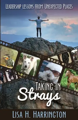 Prijímanie zatúlaných: Líderské lekcie z neočakávaných miest - Taking In Strays: Leadership Lessons From Unexpected Places