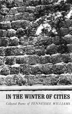 V zime miest: Poézia - In the Winter of Cities: Poetry