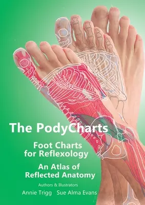 PodyCharts Grafy chodidiel pre reflexológiu: Atlas reflexnej anatómie - The PodyCharts Foot Charts for Reflexology: An atlas of reflected anatomy