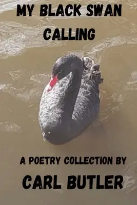 Moje volanie čiernej labute - My Black Swan Calling