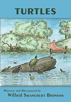 Želvy - Turtles