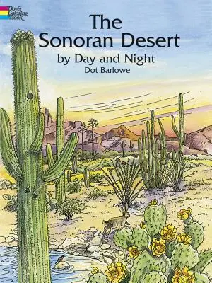 Sonorská púšť cez deň a v noci Omaľovánky - The Sonoran Desert by Day and Night Coloring Book