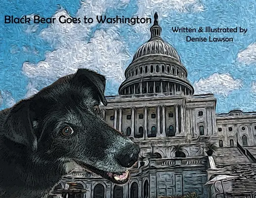 Čierny medveď ide do Washingtonu - Black Bear Goes to Washington