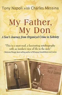Môj otec, môj Don: Cesta syna od organizovaného zločinu k triezvosti - My Father, My Don: A Son's Journey from Organized Crime to Sobriety