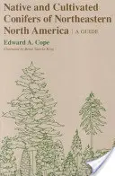 Pôvodné a pestované ihličnany severovýchodnej časti Severnej Ameriky: A Guide - Native and Cultivated Conifers of Northeastern North America: A Guide