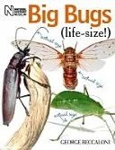 Veľké chyby v životnej veľkosti - Big Bugs Life-Size