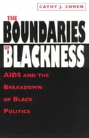 Hranice čiernosti: Hranice čiernej politiky: AIDS a rozpad čiernej politiky - The Boundaries of Blackness: AIDS and the Breakdown of Black Politics