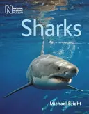 Žraloky - Sharks