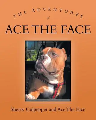 Dobrodružstvá Esa Tváre - The Adventures of Ace The Face