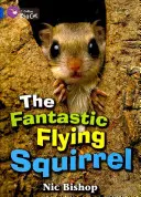 Fantastická lietajúca veverička - The Fantastic Flying Squirrel