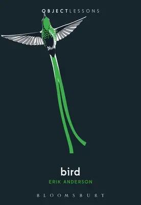 Vták - Bird