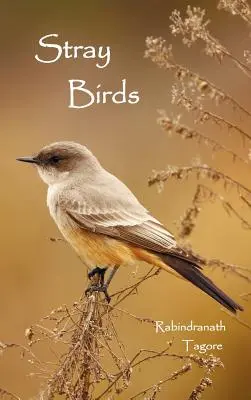 Zatúlané vtáky - Stray Birds