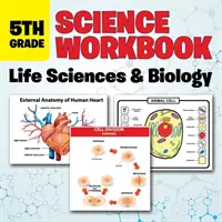 Pracovný zošit pre 5. ročník ZŠ - Prírodoveda: Vedy o živote a biológia - 5th Grade Science Workbook: Life Sciences & Biology