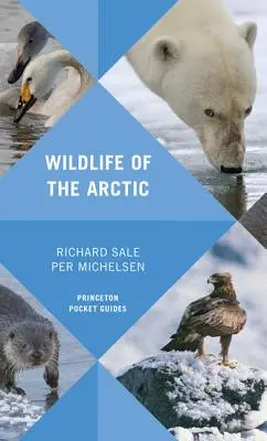 Divoká príroda Arktídy - Wildlife of the Arctic