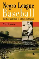 Negro League Baseball: Vzostup a zánik černošskej inštitúcie - Negro League Baseball: The Rise and Ruin of a Black Institution
