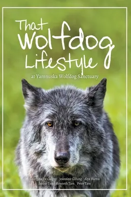 Životný štýl vlčieho psa: v útulku Yamnuska Wolfdog Sanctuary - That Wolfdog Lifestyle: at Yamnuska Wolfdog Sanctuary