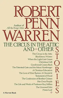 Cirkus v podkroví a iné príbehy - The Circus in the Attic and Other Stories