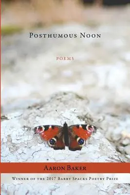 Posmrtné poludnie - Posthumous Noon