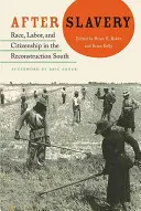 Po otroctve: Rasa, práca a občianstvo na rekonštruovanom Juhu - After Slavery: Race, Labor, and Citizenship in the Reconstruction South