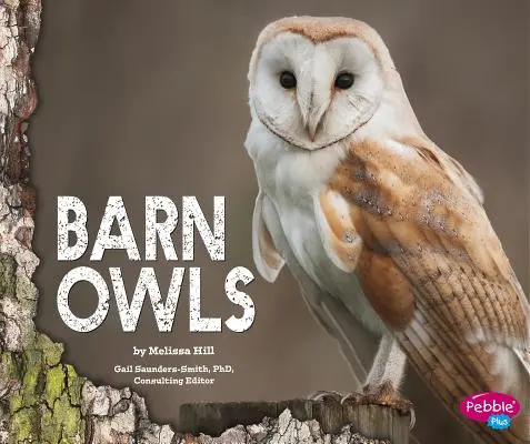 Stodolové sovy - Barn Owls