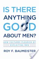 Je na mužoch niečo dobré?: Ako kultúry prekvitajú využívaním mužov - Is There Anything Good about Men?: How Cultures Flourish by Exploiting Men