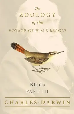 Vtáky - časť III - Zoológia plavby H.M.S. Beagle - Birds - Part III - The Zoology of the Voyage of H.M.S Beagle