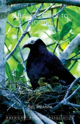 Sprievodca vtáctva na Floride - A Birder's Guide to Florida