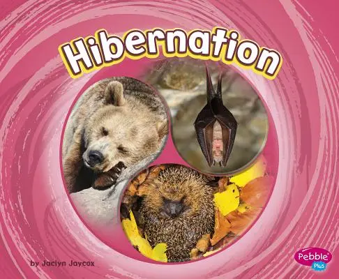 Hibernácia - Hibernation