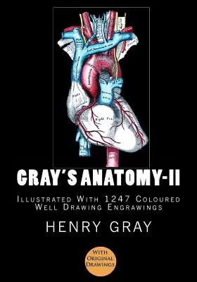 Grayova anatómia: [ilustrovaná 1247 farebnými kresbami] - Gray's Anatomy: [Illustrated With 1247 Coloured Well Drawing Engrawings]